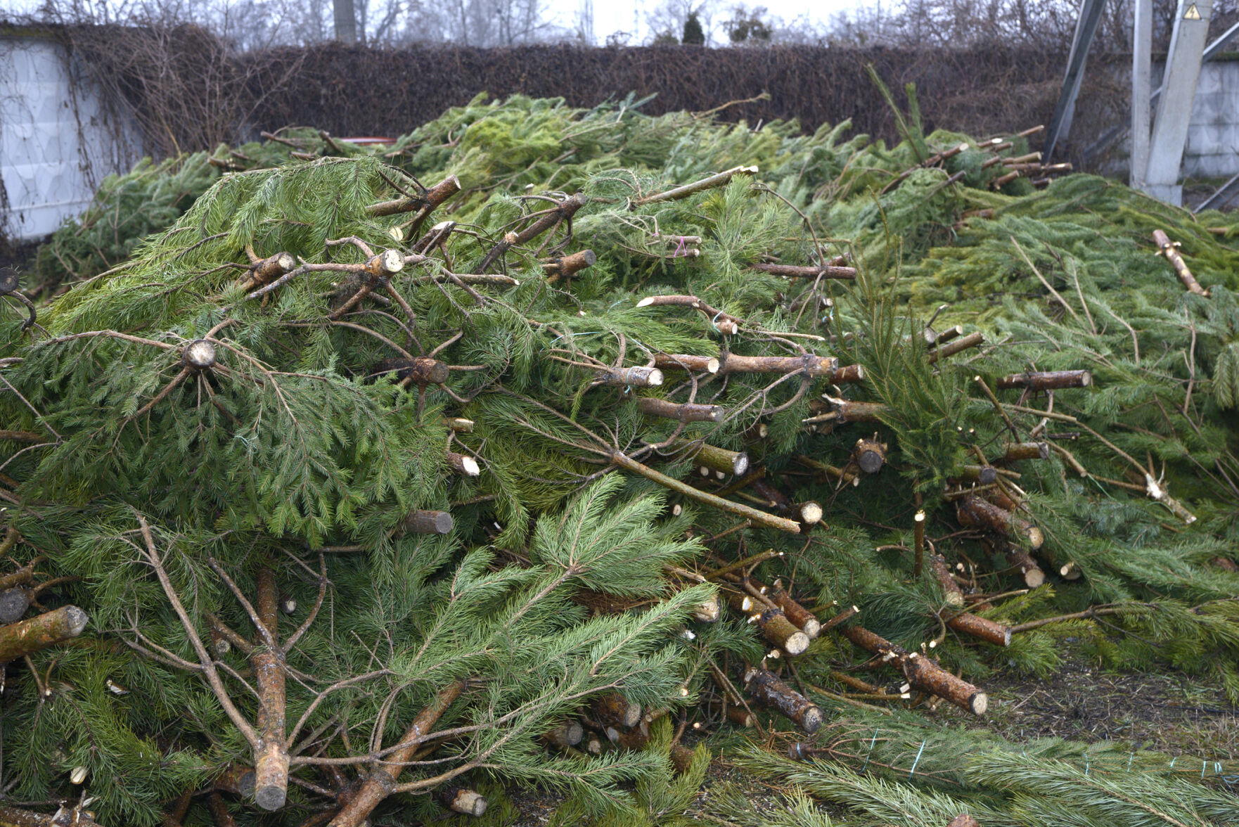 Christmas tree